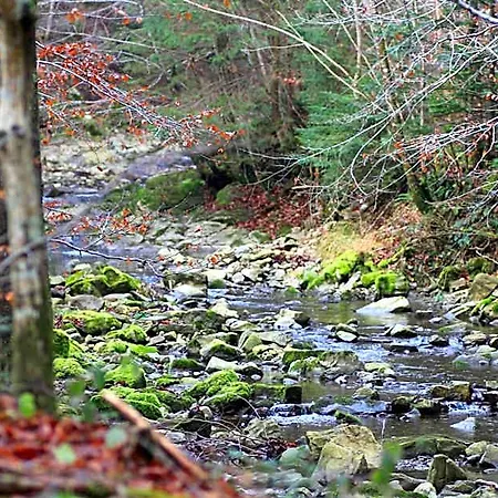 Naturidyll Hammerschmiede