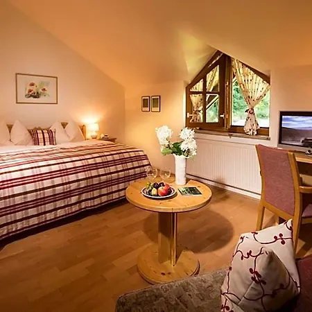 Hotel Naturidyll Hammerschmiede 4*