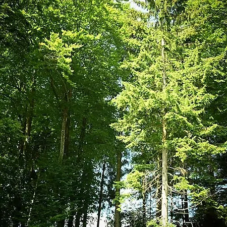 Naturidyll Hammerschmiede 4*