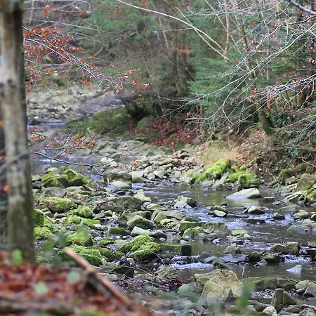 Otel Naturidyll Hammerschmiede Anthering