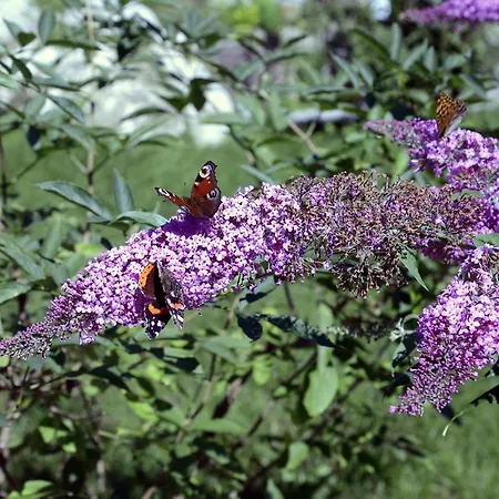 Naturidyll Hammerschmiede