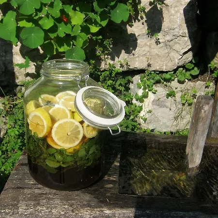 Naturidyll Hammerschmiede Otel