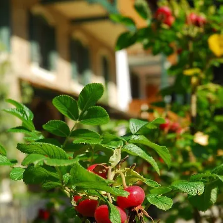 Naturidyll Hammerschmiede Otel