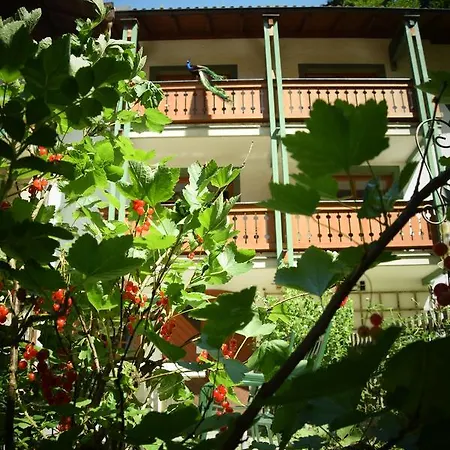 Naturidyll Hammerschmiede