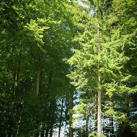 Отель Naturidyll Hammerschmiede