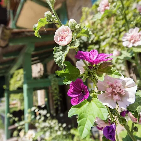 Otel Naturidyll Hammerschmiede